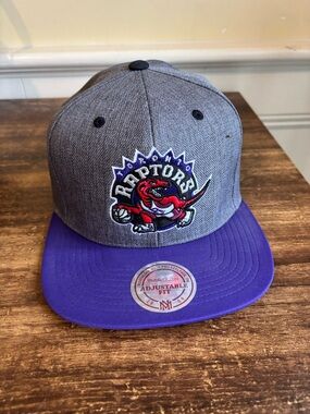 Mitchell & Ness Toronto Raptors Gray and Purple Snapback Hat